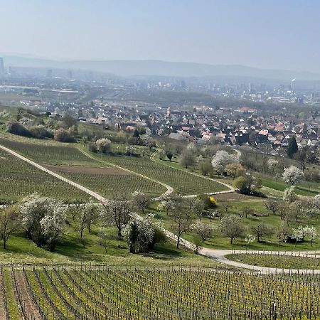 Landgasthof Rebstock Weil Am Rhein / Basel المظهر الخارجي الصورة