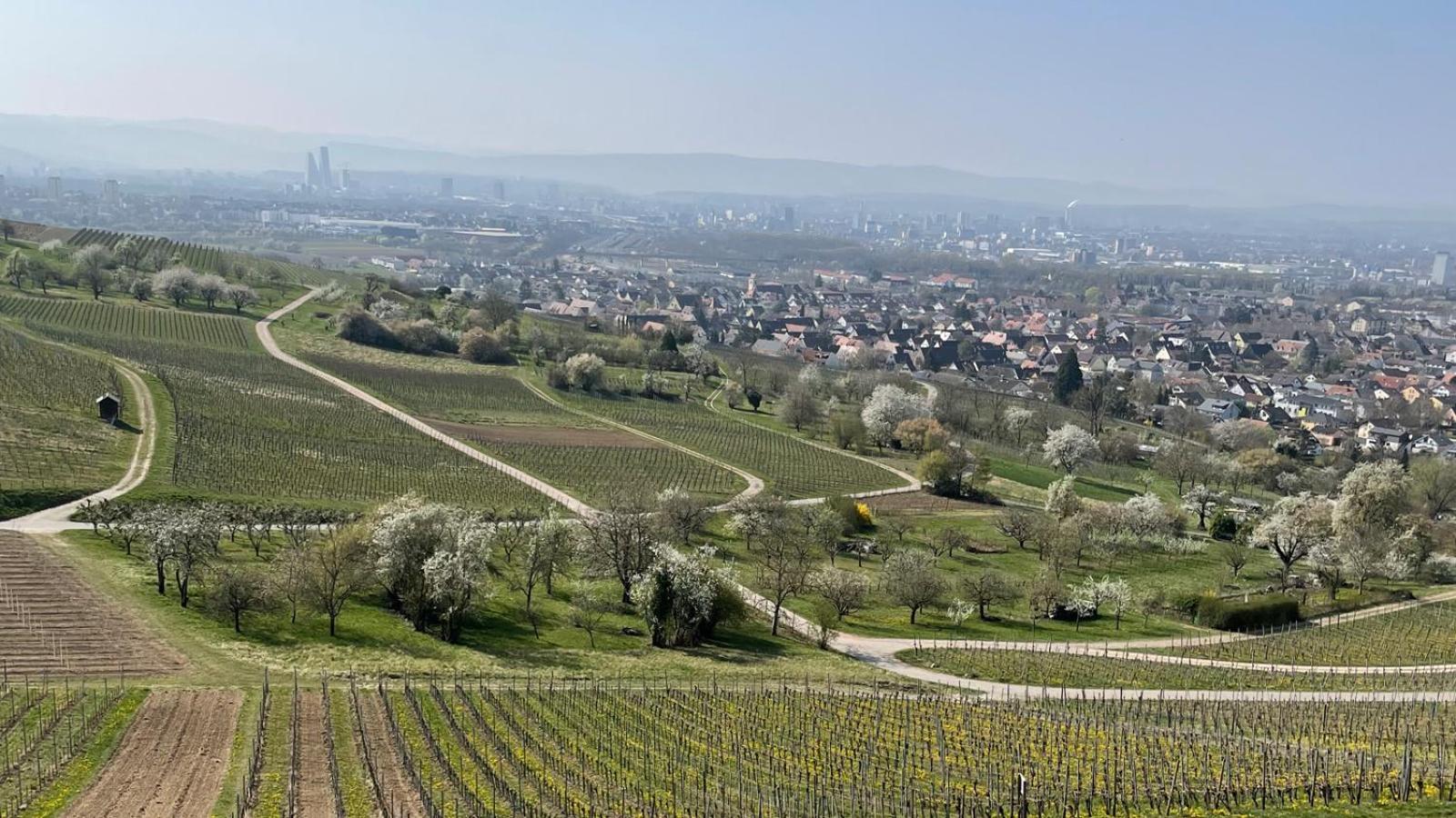 Landgasthof Rebstock Weil Am Rhein / Basel المظهر الخارجي الصورة