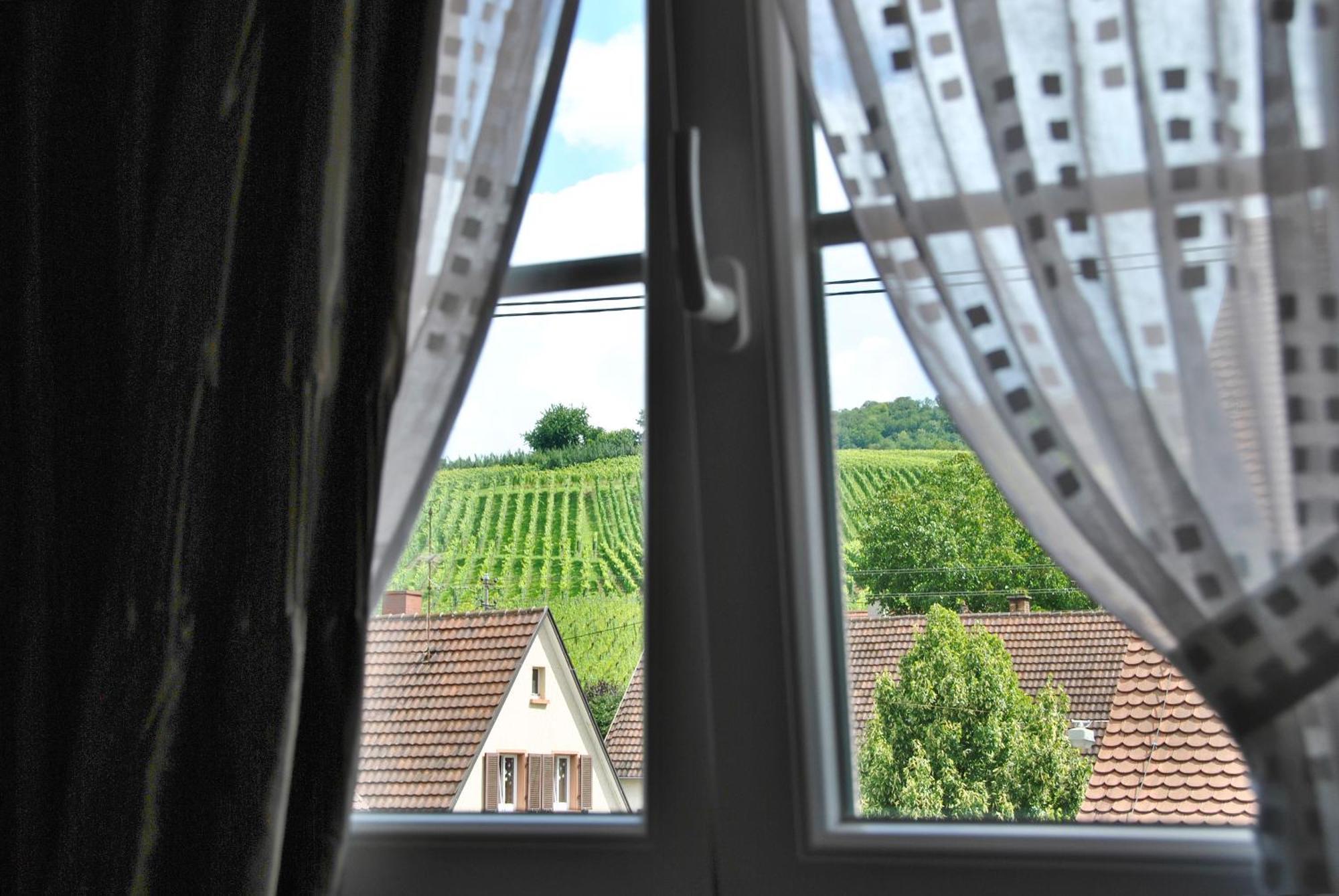 Landgasthof Rebstock Weil Am Rhein / Basel المظهر الخارجي الصورة